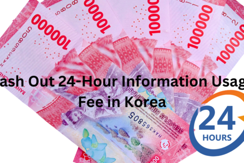 Cash Out 24-Hour Information Usage Fee in Korea